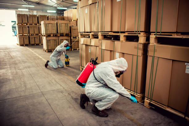 Best Emergency Pest Control  in Verona Walk, FL