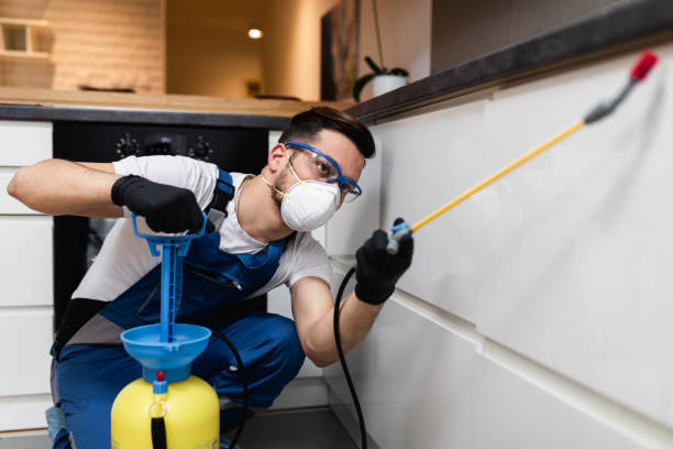 Best Bed Bug Extermination  in Verona Walk, FL