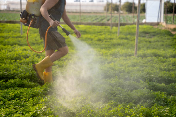 Best Affordable Pest Control Services  in Verona Walk, FL