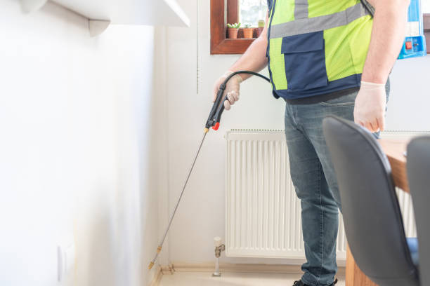 Best Flea Control Services  in Verona Walk, FL