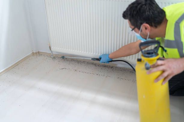 Best Pest Control Treatment  in Verona Walk, FL