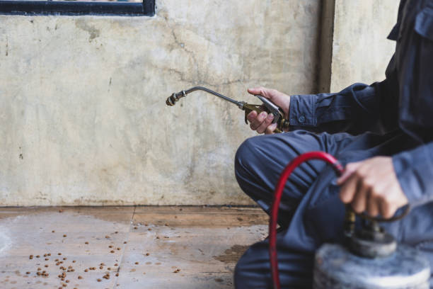 Best Pest Control Near Me  in Verona Walk, FL