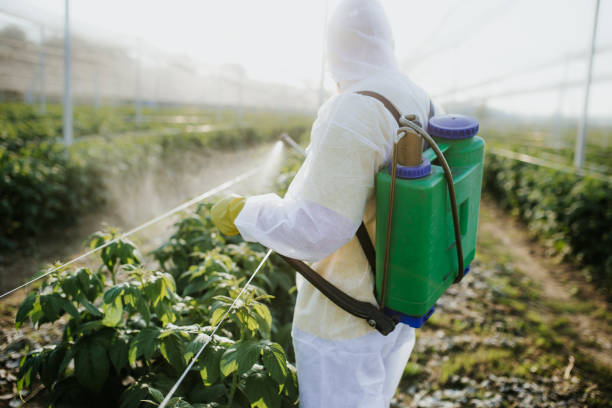 Insect Control in Verona Walk, FL